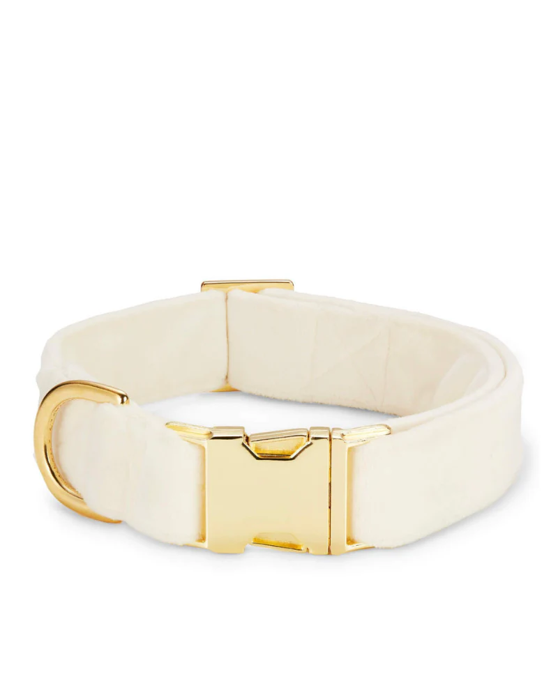 Ivory Velvet Dog Collar (Made in the USA) - Image 2