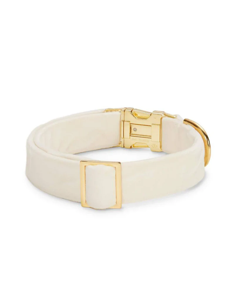 Ivory Velvet Dog Collar (Made in the USA) - Image 4