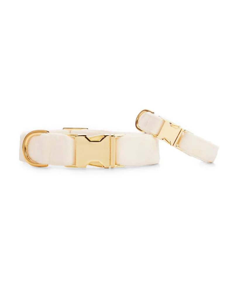 Ivory Velvet Dog Collar (Made in the USA) - Image 5