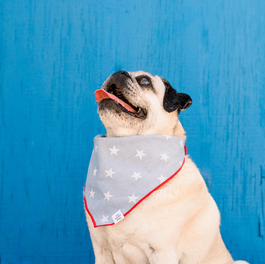 THE FOGGY DOG | Liberty Dog Bandana - Image 2