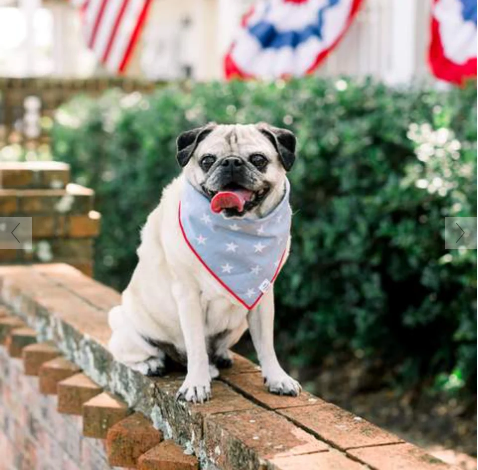 THE FOGGY DOG | Liberty Dog Bandana - Image 3