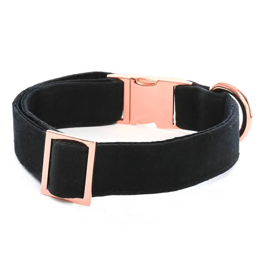 Onyx Dog Collar (FINAL SALE) - Image 4