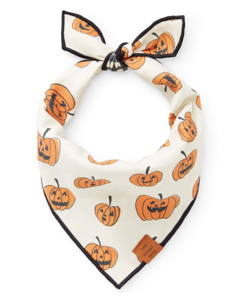 Pumpkin Patch Reversible Dog Bandana (Made in the USA)