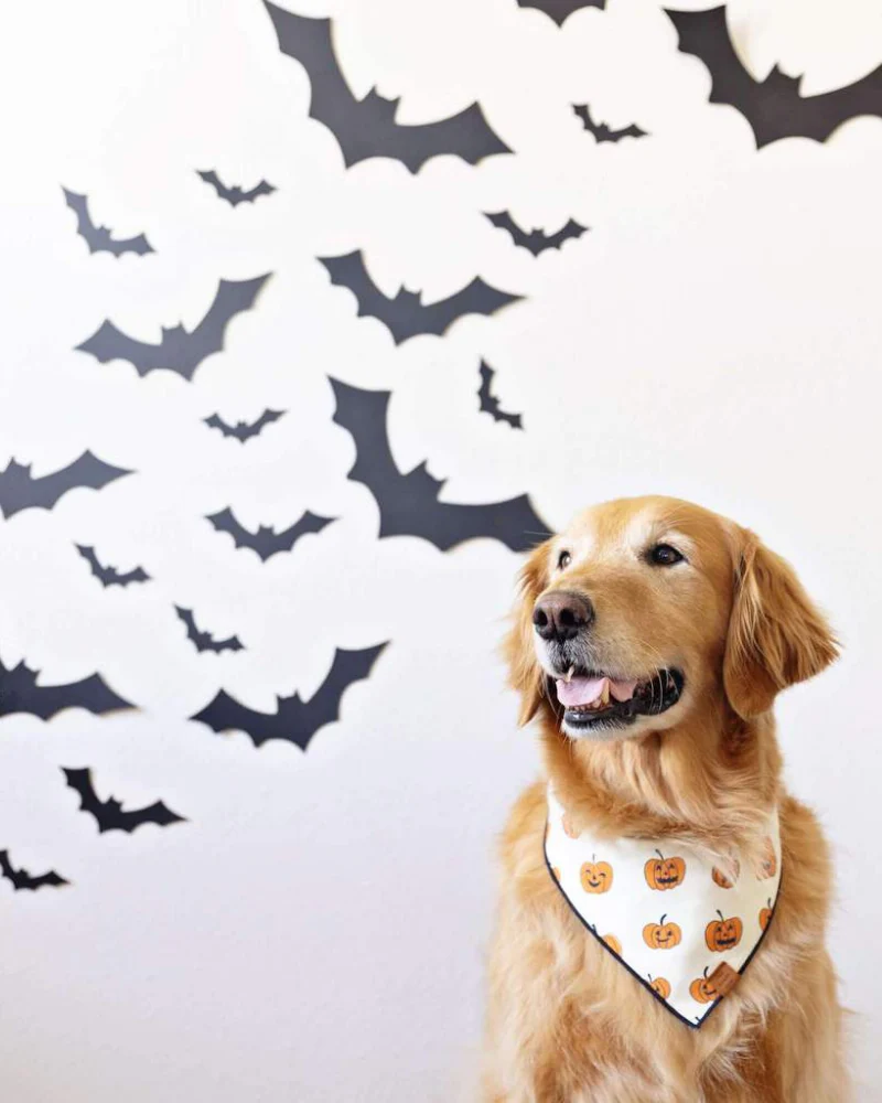 Pumpkin Patch Reversible Dog Bandana (Made in the USA) - Image 7
