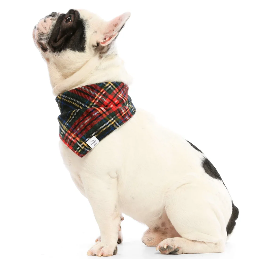 THE FOGGY DOG | Stewart Plaid Wool Bandana - Image 2