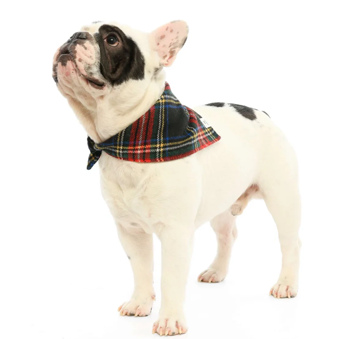 THE FOGGY DOG | Stewart Plaid Wool Bandana - Image 3