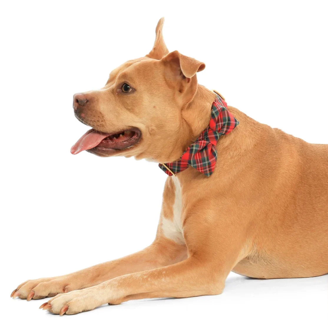Tartan Plaid Flannel Dog Bow Tie - Image 5