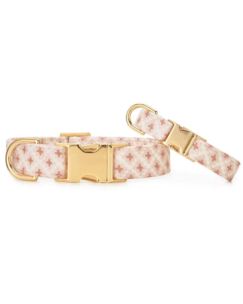Terra Dog Collar (Made in the USA) (FINAL SALE) - Image 2
