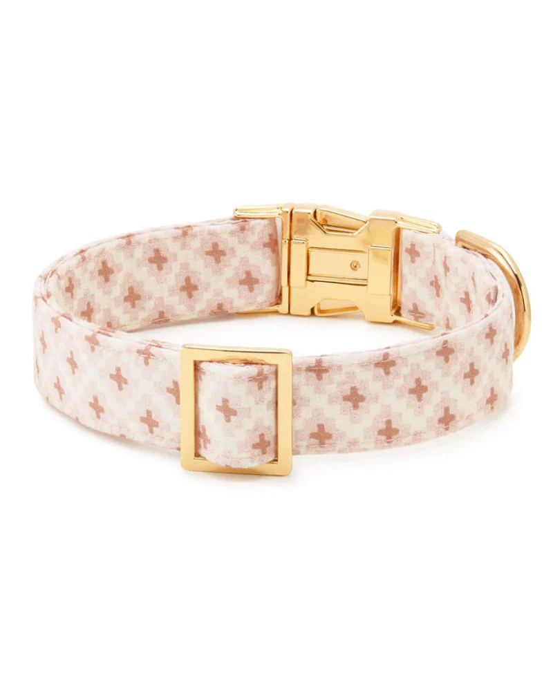 Terra Dog Collar (Made in the USA) (FINAL SALE) - Image 3