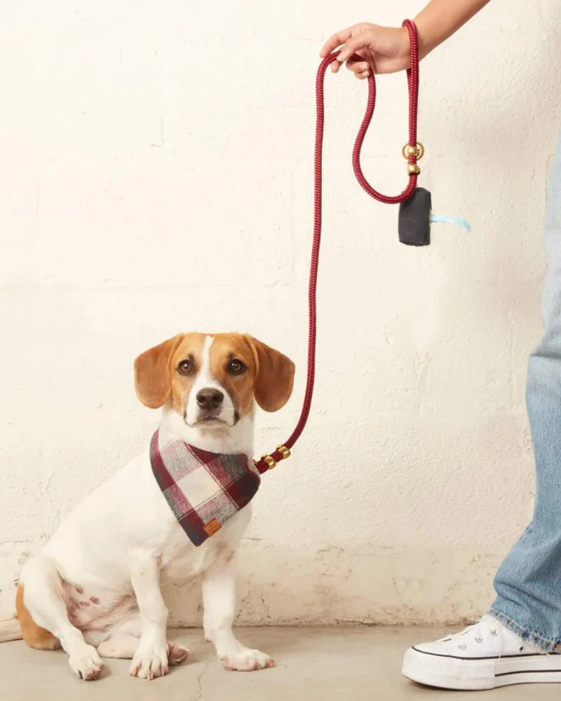 Wine Marine Rope Dog Leash<br> (Made in the USA) (FINAL SALE) - Image 4