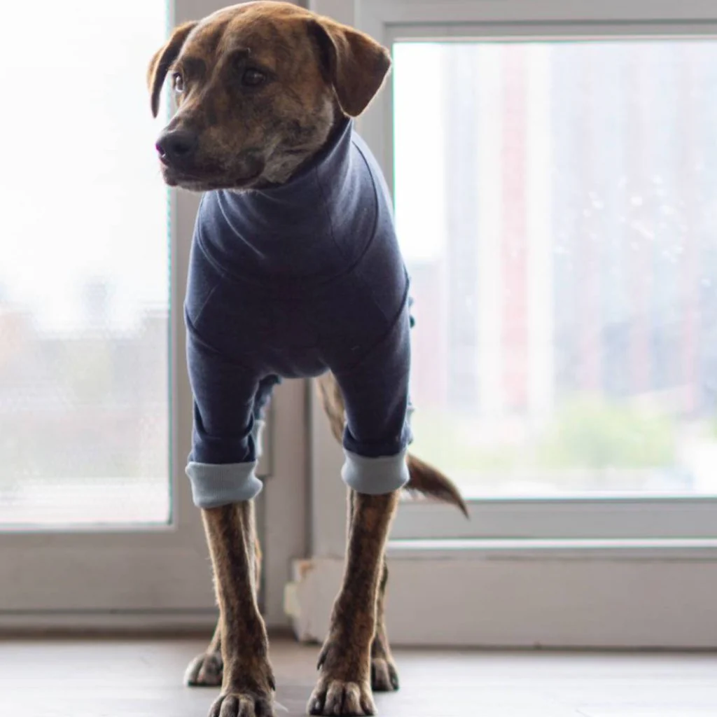 THE FURRYFOLKS | High Neck Jumpsuit in Navy - Image 2