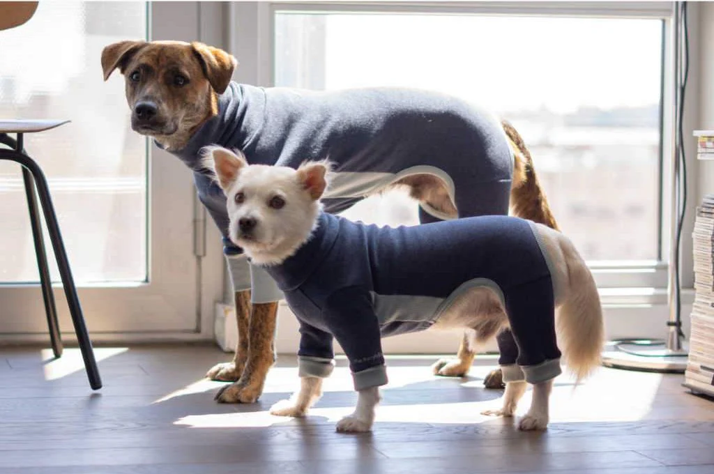 THE FURRYFOLKS | High Neck Jumpsuit in Navy - Image 3