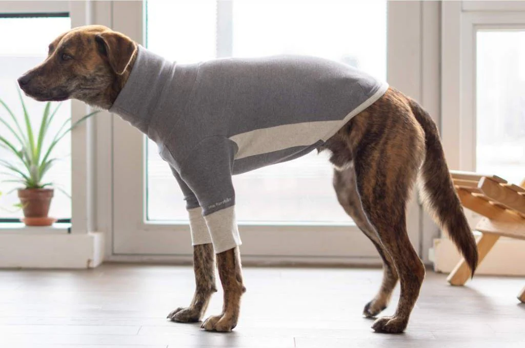 THE FURRYFOLKS | High Neck Tee in Grey - Image 4