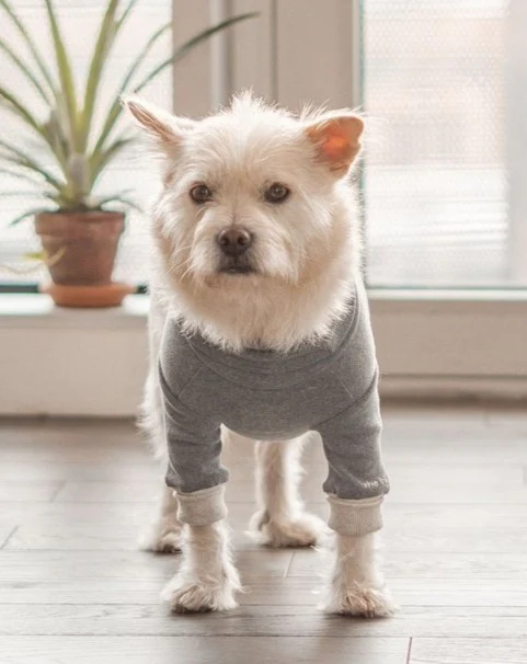 High V-Neck Pullover in Light Grey<br>((FINAL SALE)) - Image 2