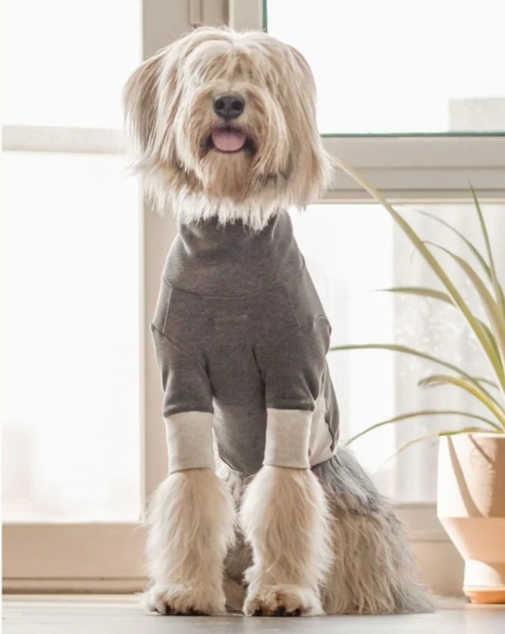High V-Neck Pullover in Light Grey<br>((FINAL SALE)) - Image 4