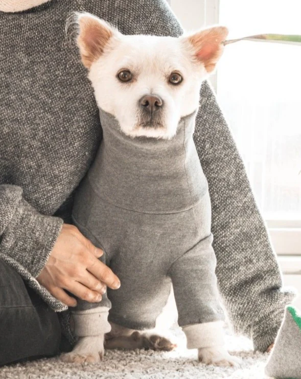 High V-Neck Pullover in Light Grey<br>((FINAL SALE)) - Image 5