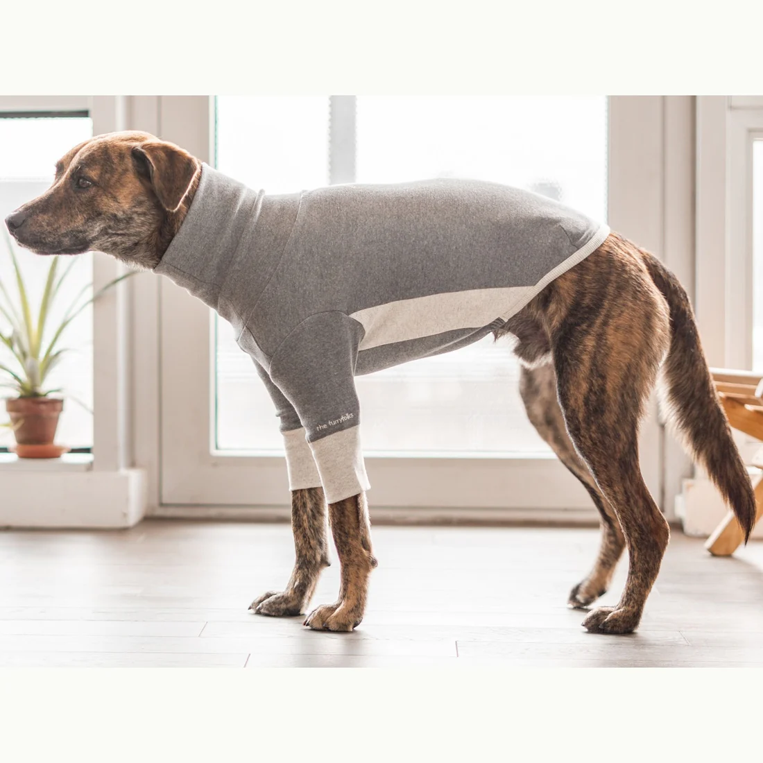 High V-Neck Pullover in Light Grey<br>((FINAL SALE)) - Image 7