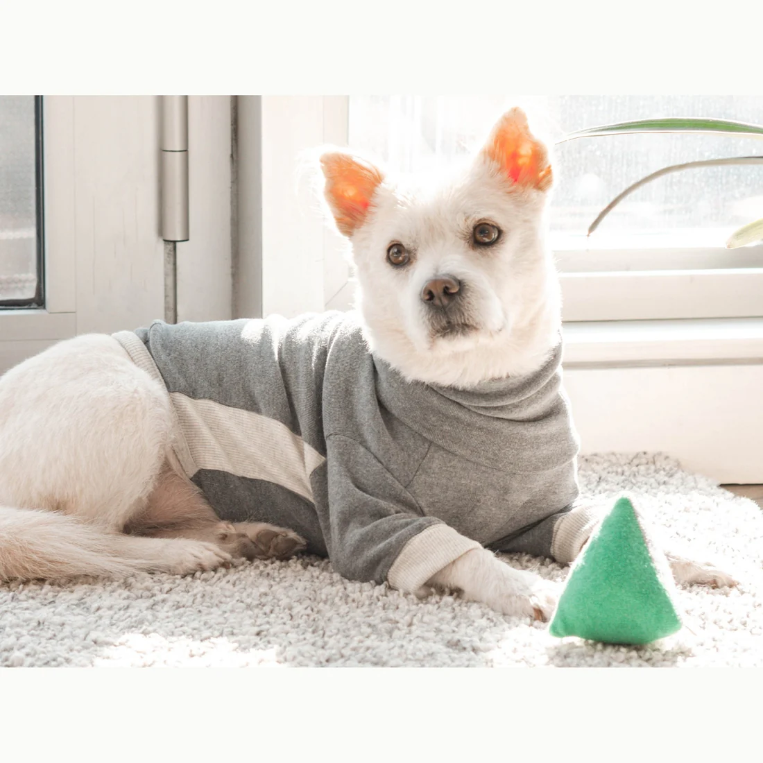 High V-Neck Pullover in Light Grey<br>((FINAL SALE)) - Image 9