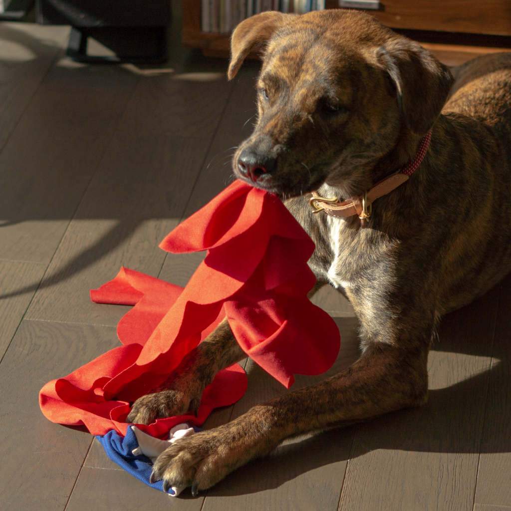 THE FURRYFOLKS | Semo Nosework Toy - Image 3