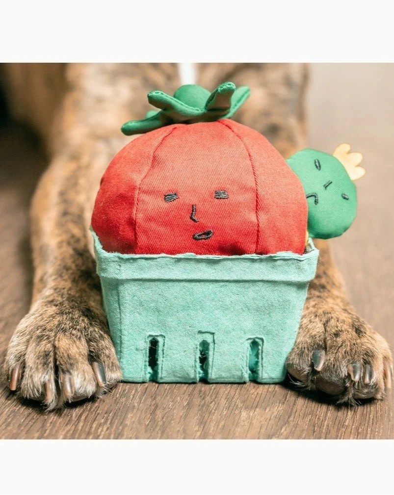Tomato Interactive Nosework Dog Toy - Image 3