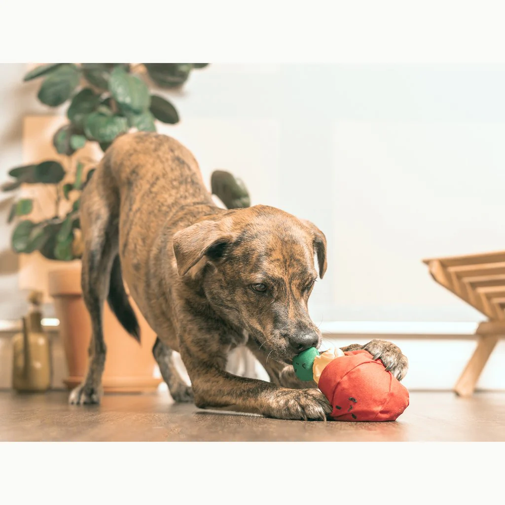 Tomato Interactive Nosework Dog Toy - Image 6