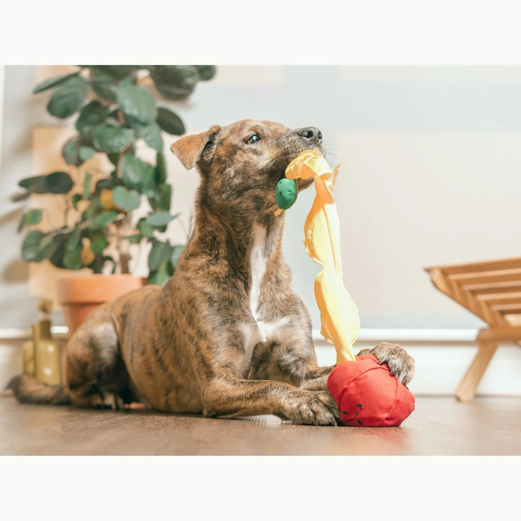 Tomato Interactive Nosework Dog Toy - Image 7