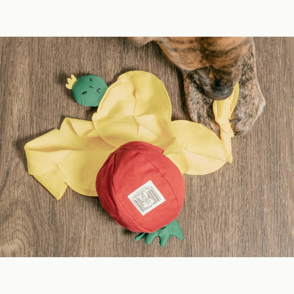 Tomato Interactive Nosework Dog Toy - Image 8