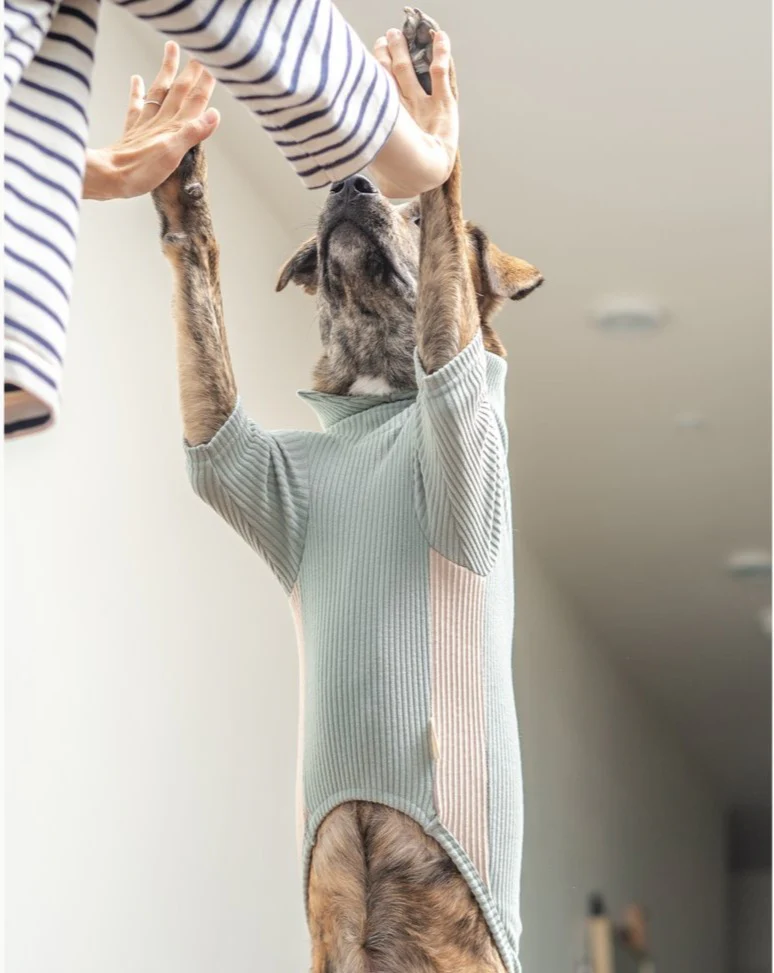 High Neck Dog Tee in Sage Green (FINAL SALE)
