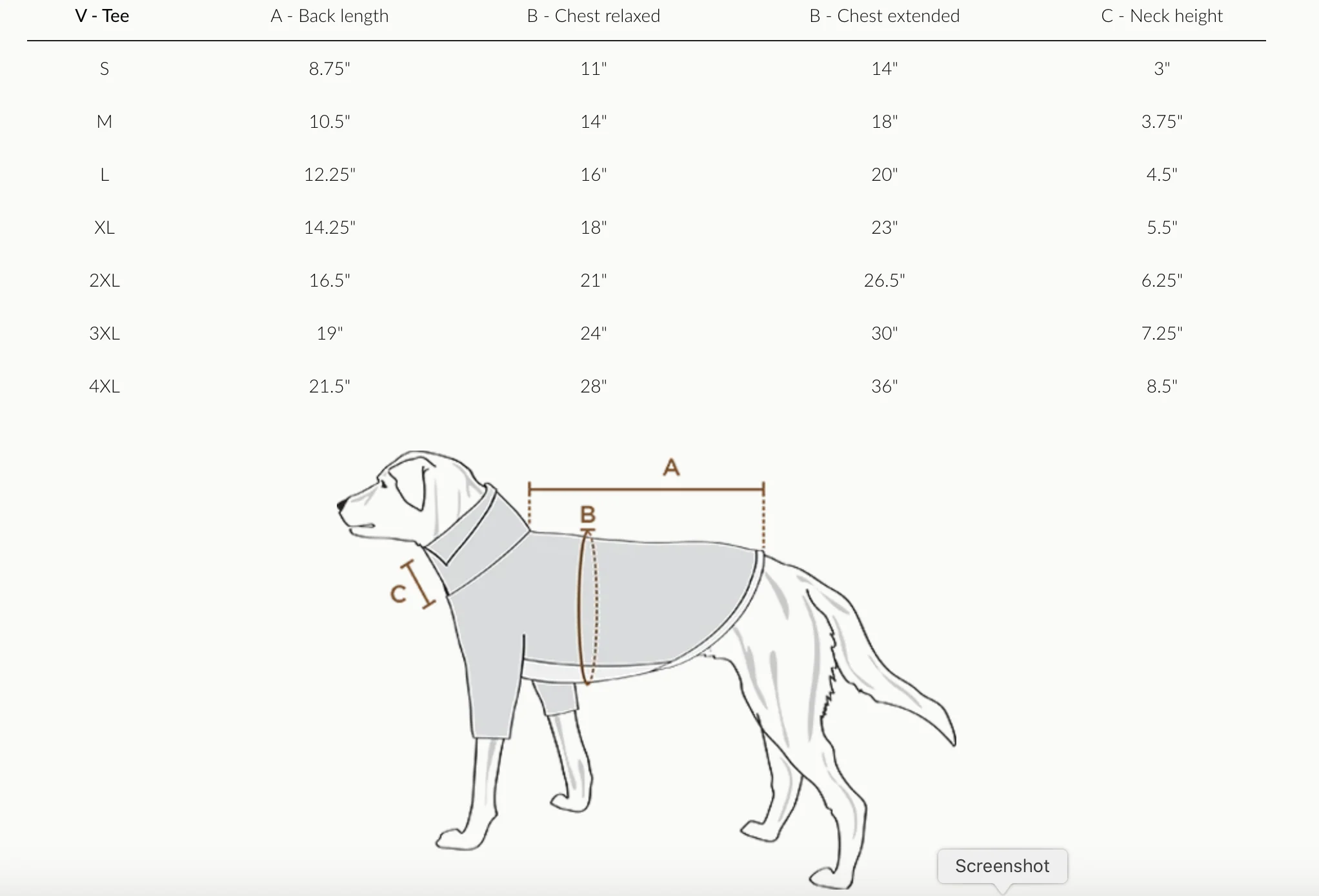 High Neck Dog Tee in Sage Green (FINAL SALE) - Image 7