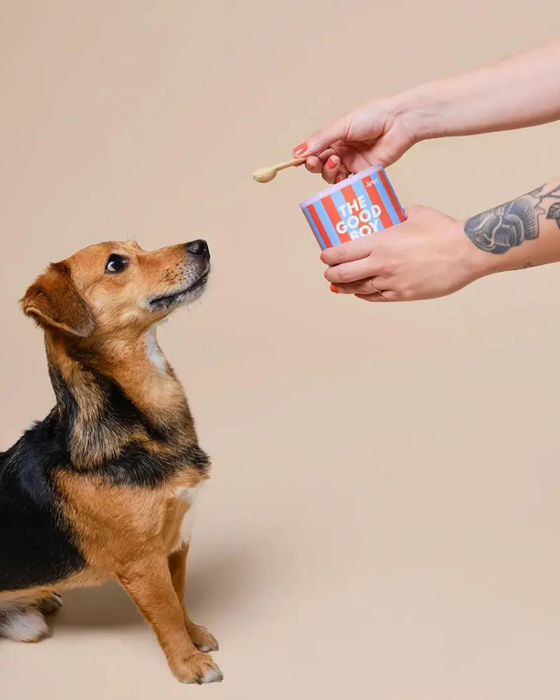 The Good Boy 5-In-1 Multivitamin for Dogs - Image 2