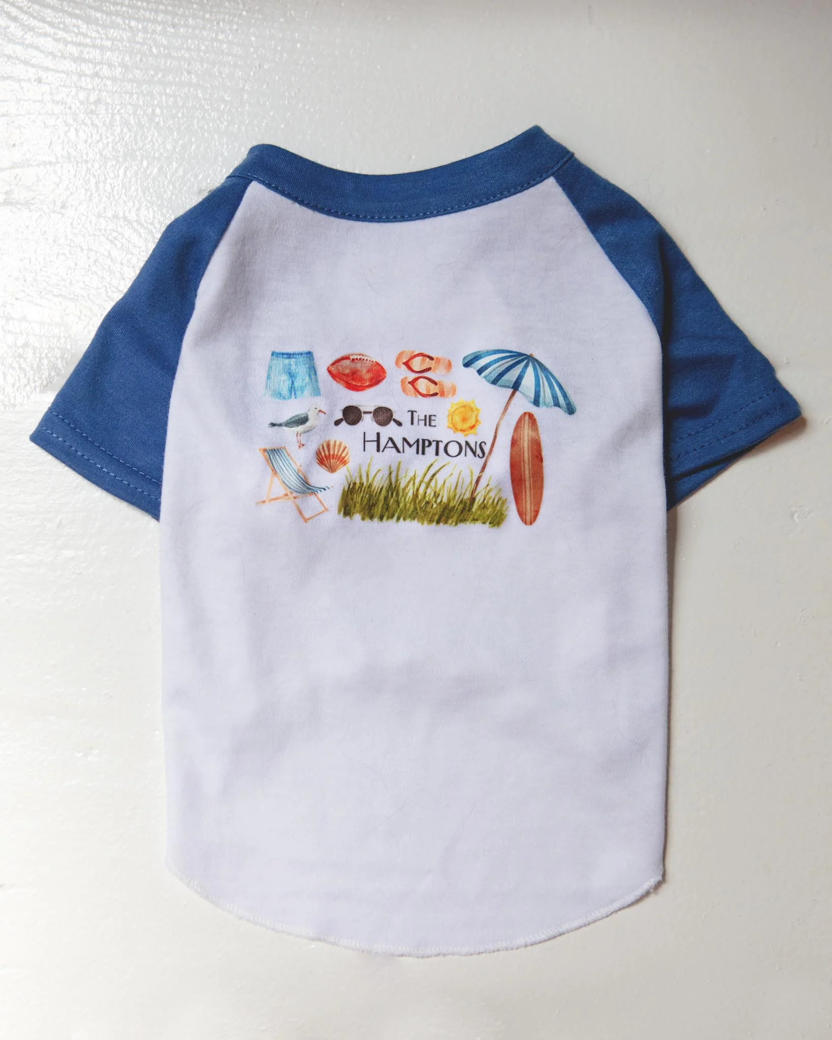 *The Hamptons* Graphic Dog T-Shirt in Surf Blue