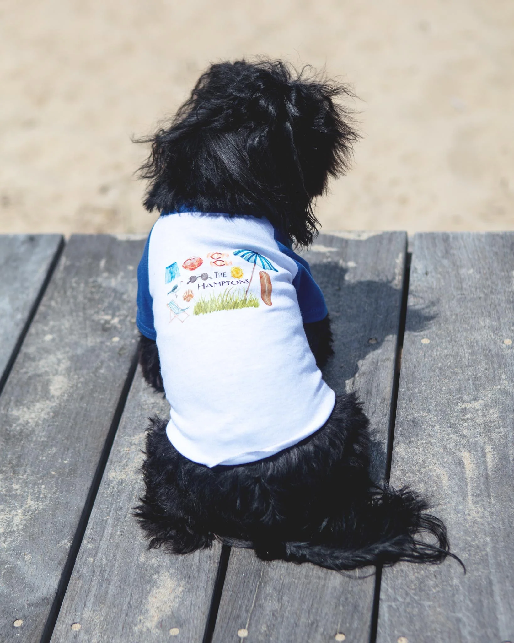 *The Hamptons* Graphic Dog T-Shirt in Surf Blue - Image 2
