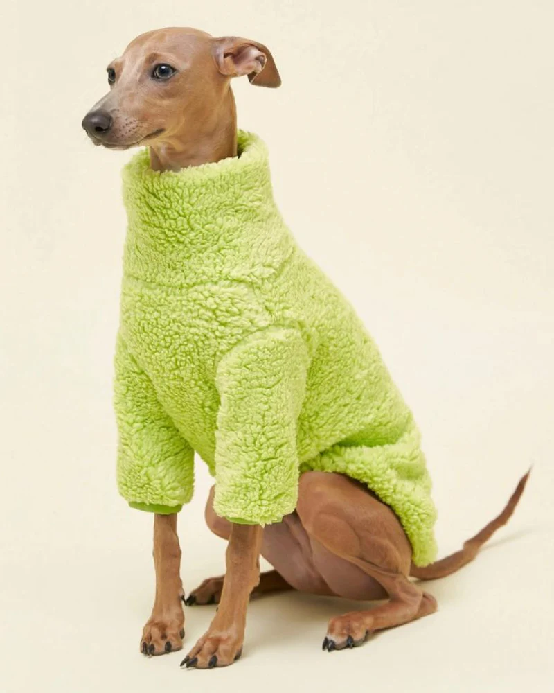 The Highlighter Fleece Sweatshirt (FINAL SALE) - Image 2