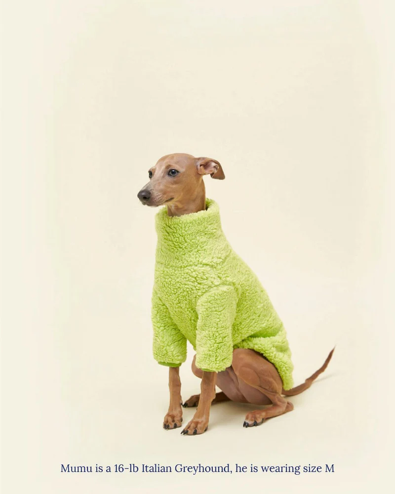The Highlighter Fleece Sweatshirt (FINAL SALE) - Image 4