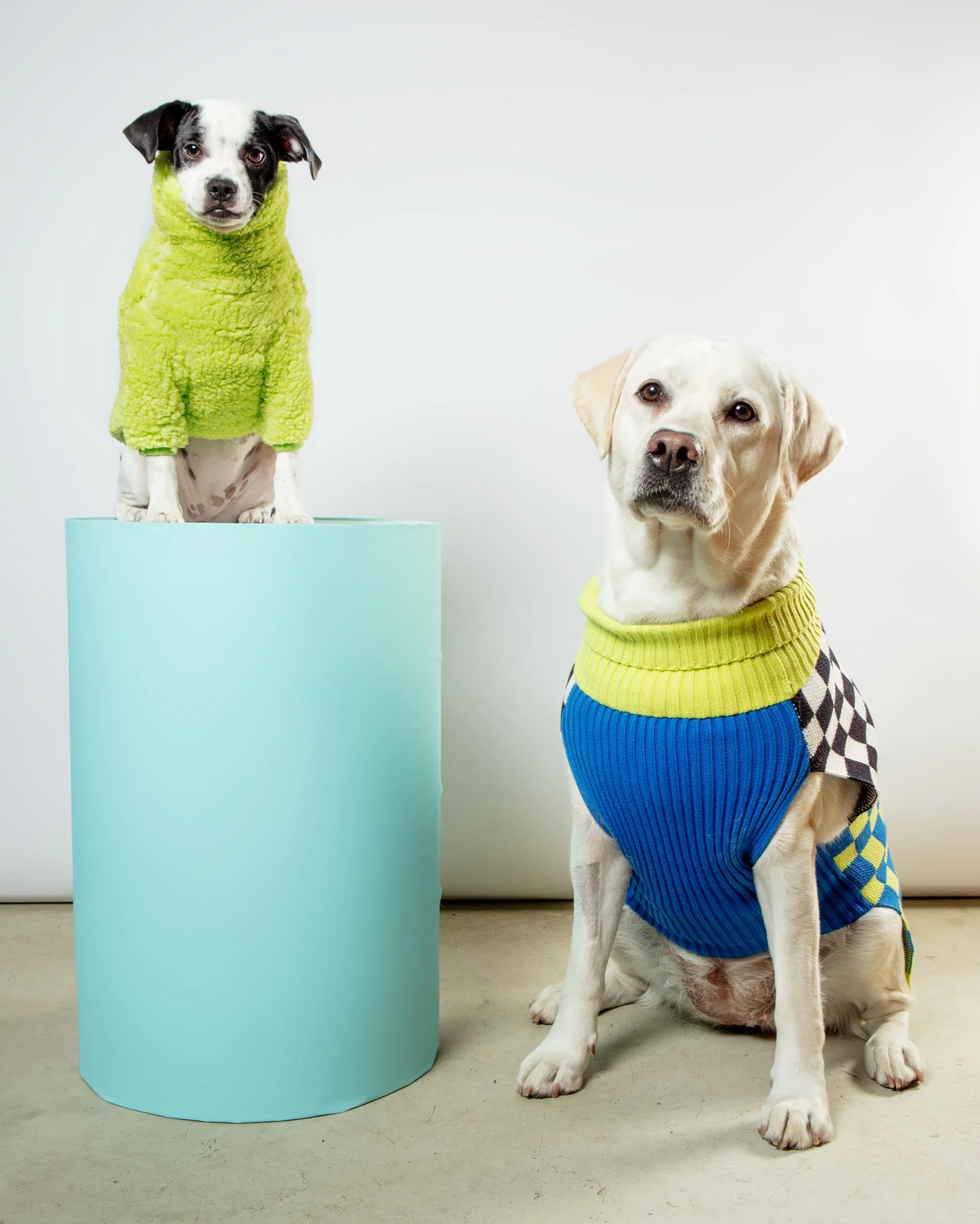 The Highlighter Fleece Sweatshirt (FINAL SALE) - Image 6
