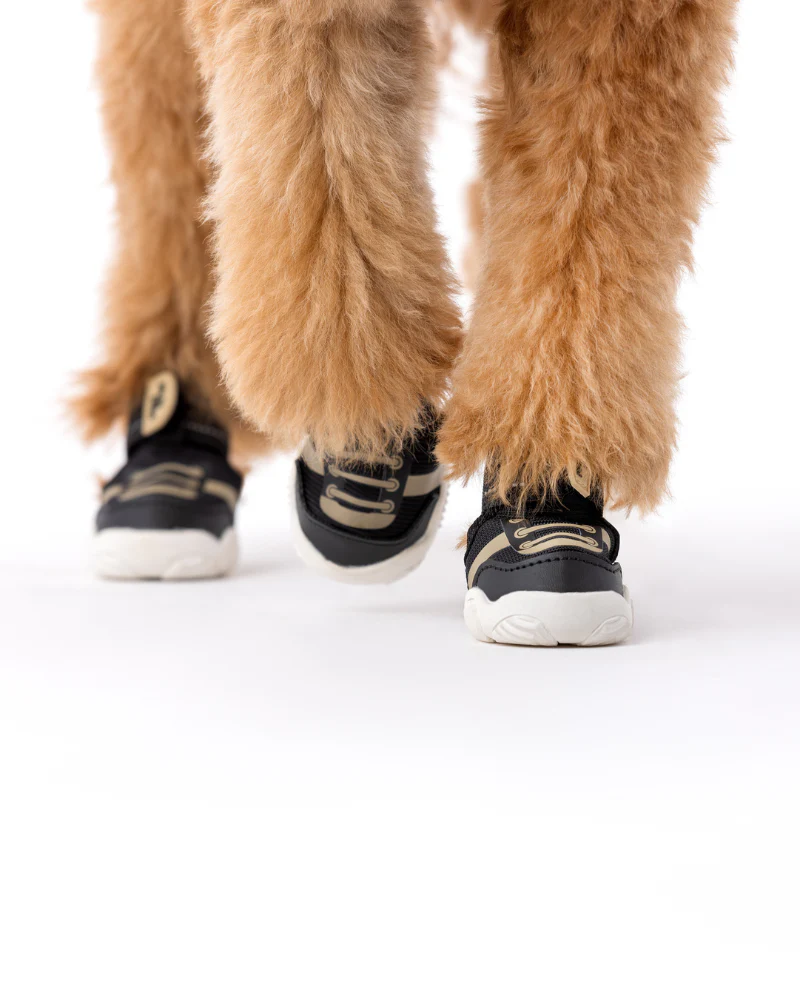 The Kai - Protective Footwear for Dogs in Black or Pink - Image 11