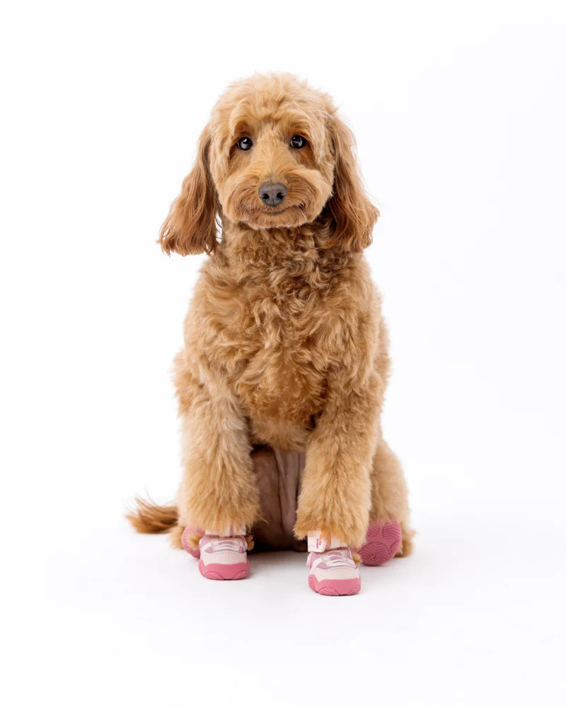 The Kai - Protective Footwear for Dogs in Black or Pink - Image 16