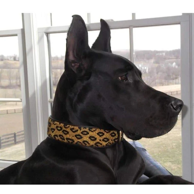 Leopard Print Beaded Dog Collar (CLEARANCE) - Image 6