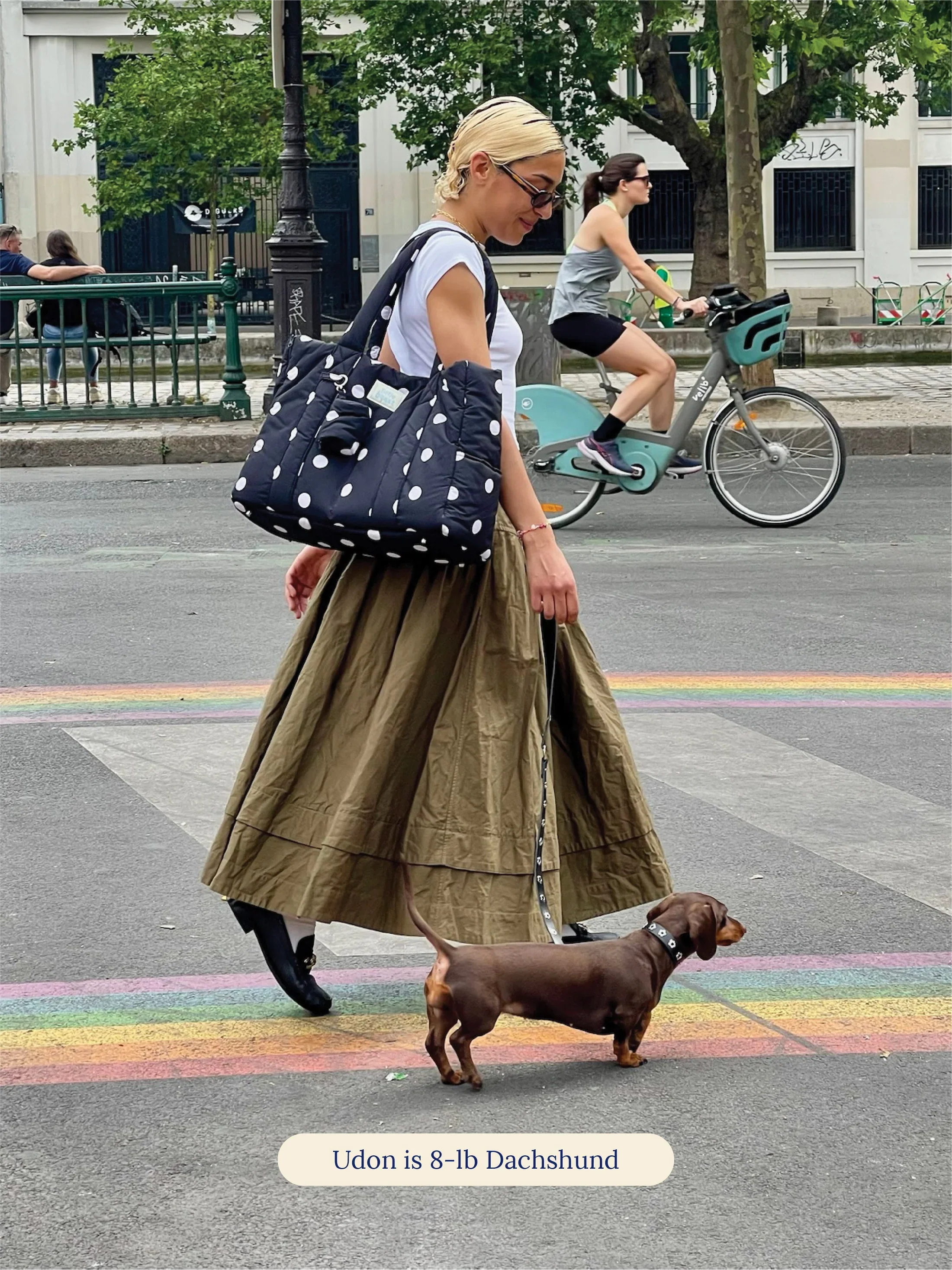 The Little Beast Dog Carrier in Betty - Image 3