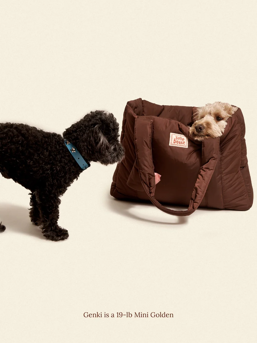 The Little Beast Dog Carrier in Hazel - Image 2