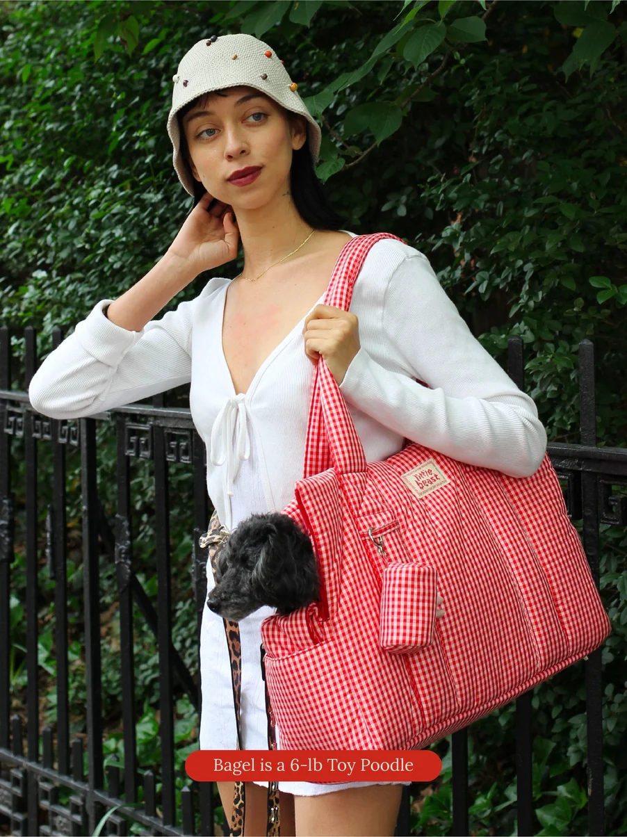 The Little Beast Dog Carrier in Strawberry - Image 2