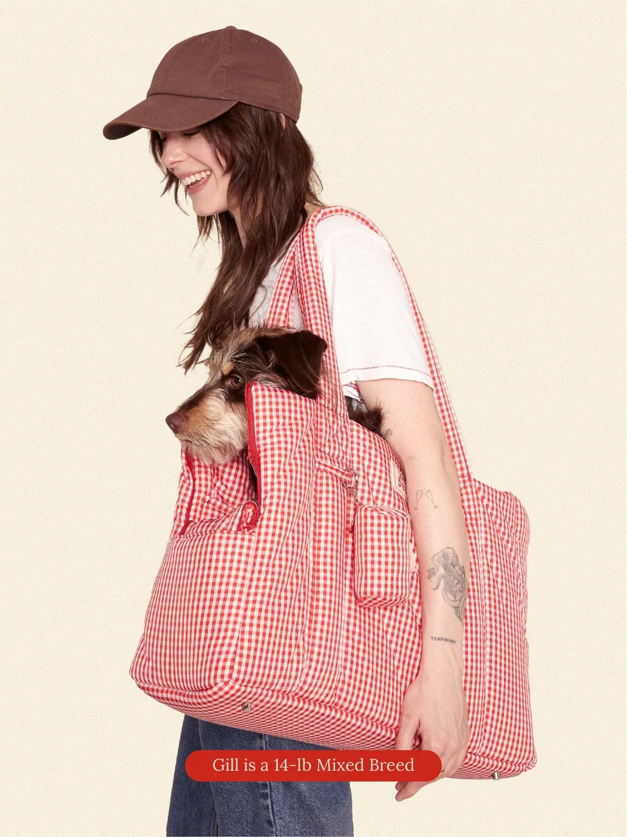 The Little Beast Dog Carrier in Strawberry - Image 5