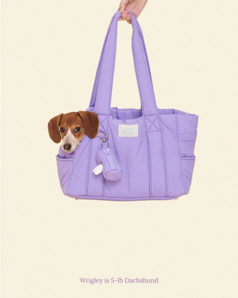 The Little Beast Mini Carrier in Ube - Image 5