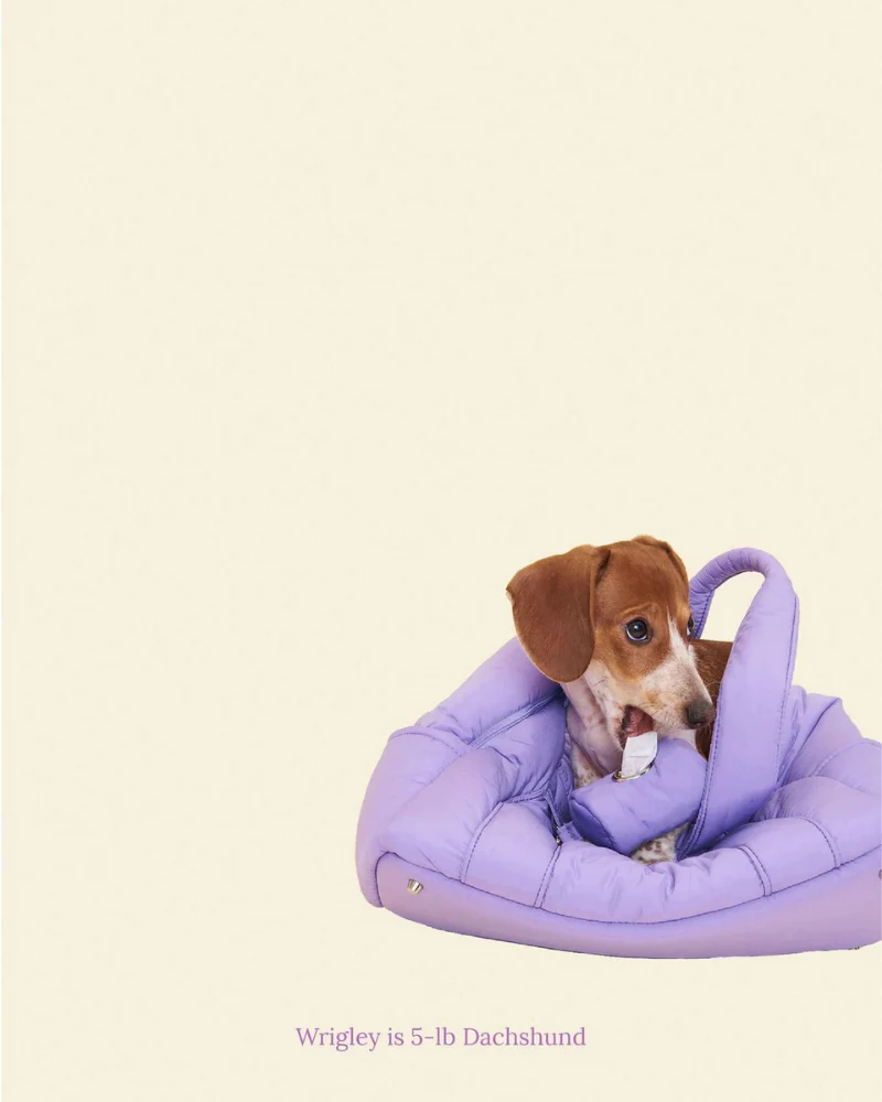 The Little Beast Mini Carrier in Ube - Image 6