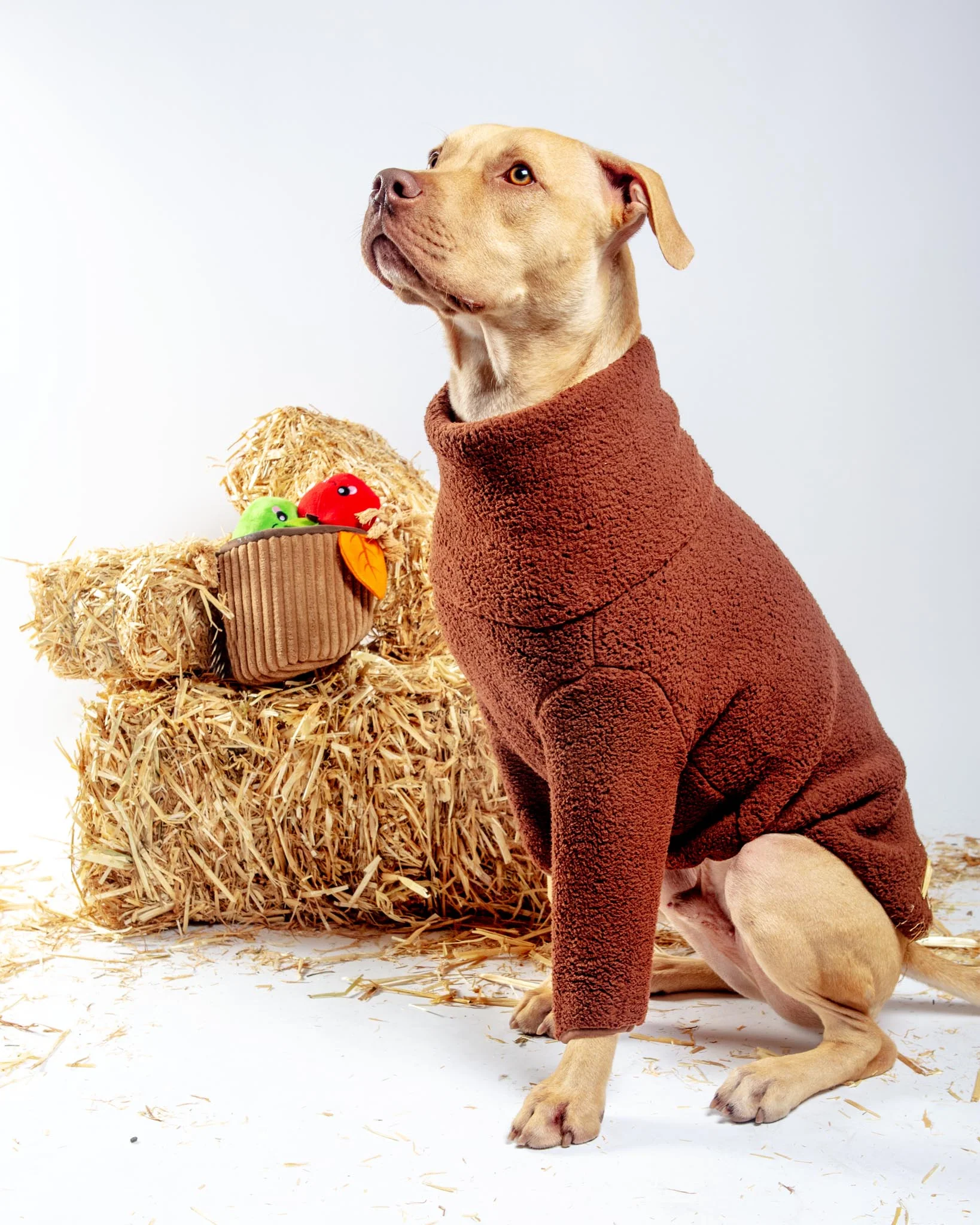 The Magic Brownie Fleece Dog Sweatshirt (FINAL SALE)