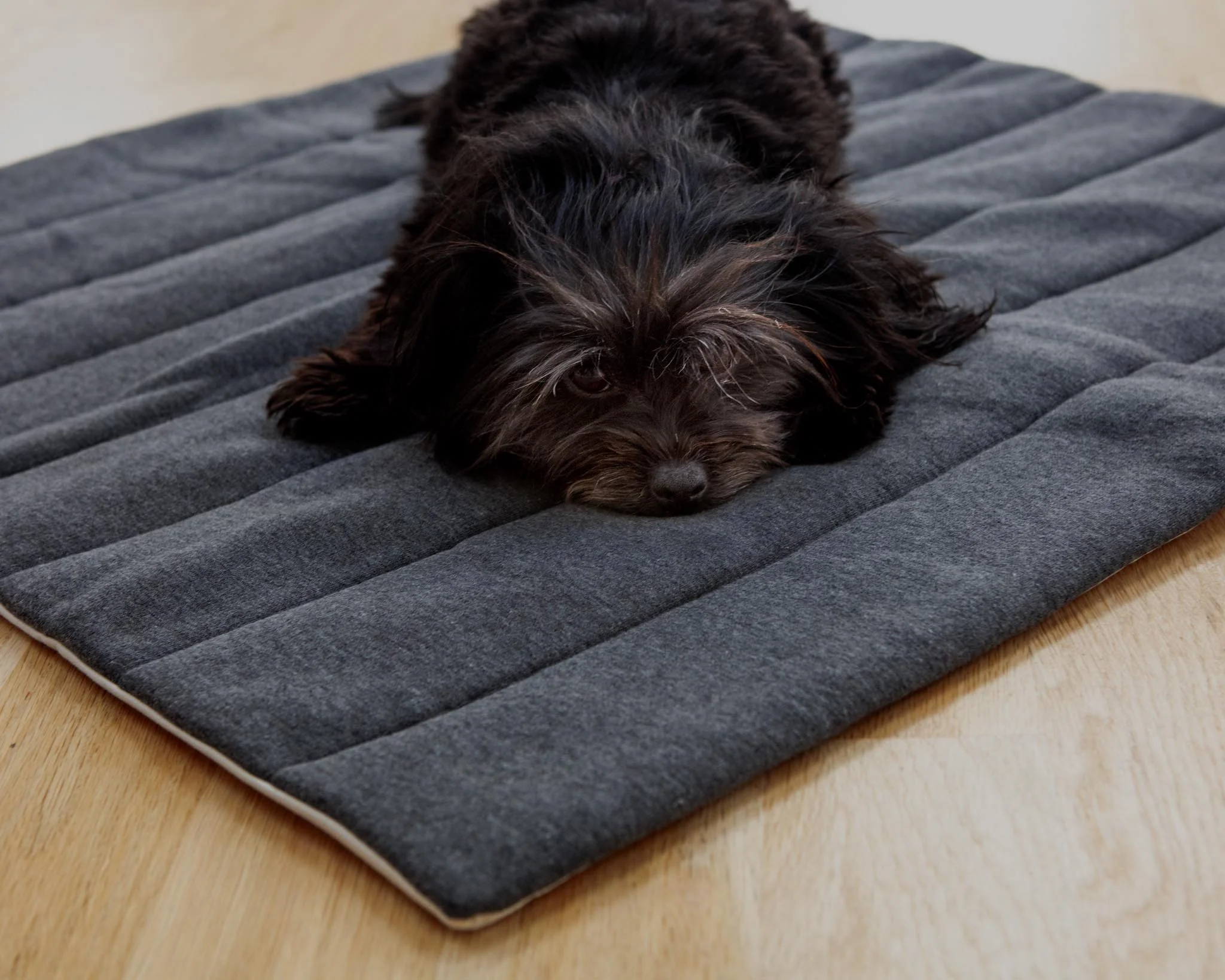 The Mellow Mat for Dogs & Cats (Made in the USA) (FINAL SALE) - Image 7