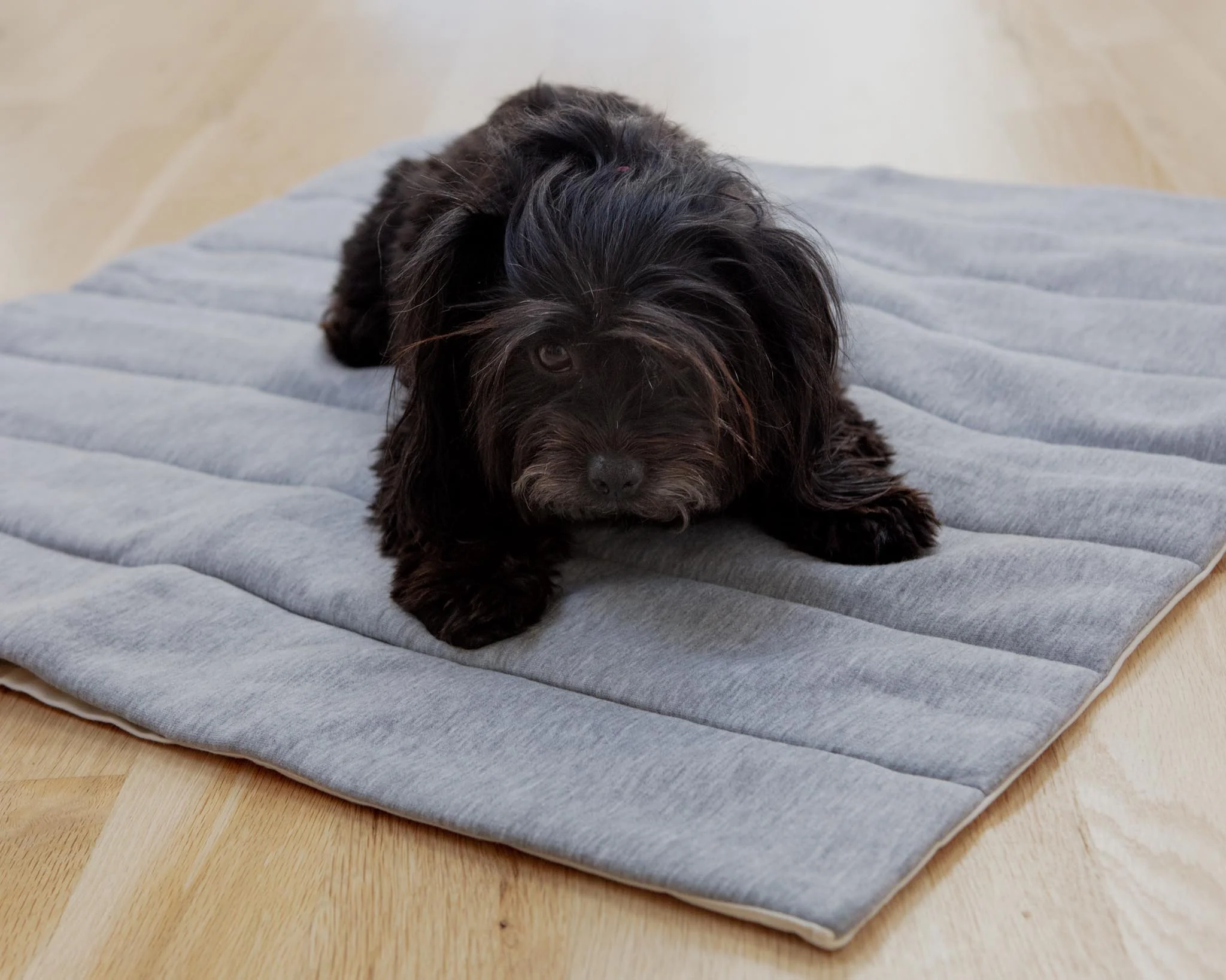 The Mellow Mat for Dogs & Cats (Made in the USA) (FINAL SALE) - Image 8