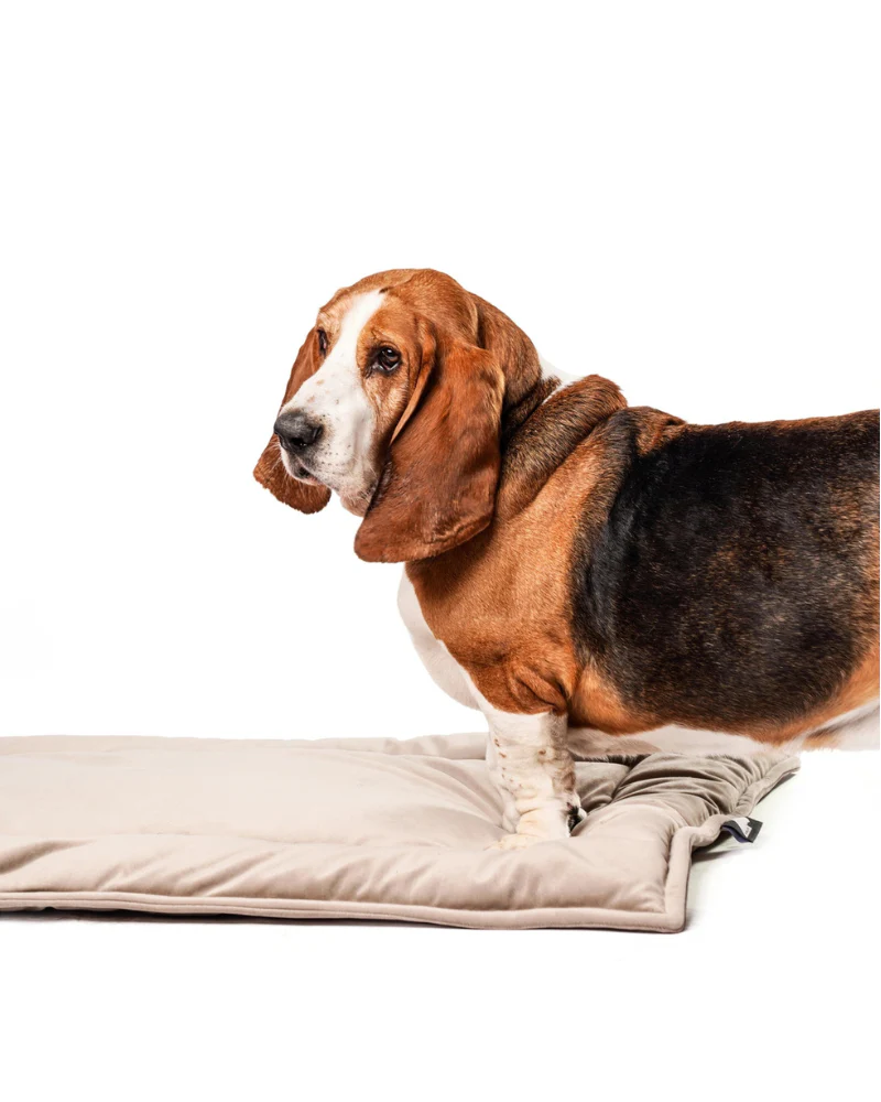 The Melrose Napping Mat (Made in the USA) - Image 2
