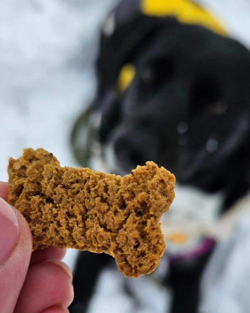 The Og - Sweet Potato Sourdough Dog Treats - Image 5