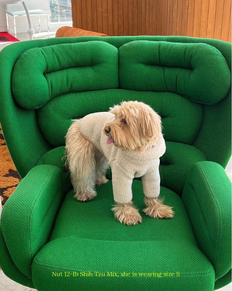 The Pablo Fleece Dog Sweatshirt (FINAL SALE) - Image 6
